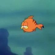 ソイラテの画像
