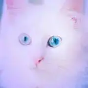 Neko即購入OKですの画像