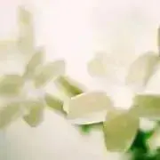 R_iuの画像