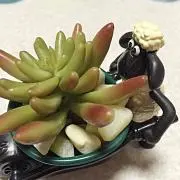 ぼたもちの画像