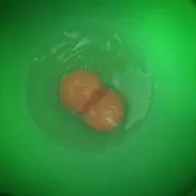 たけち