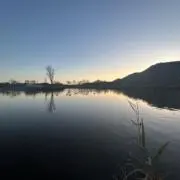 ⛄️の画像