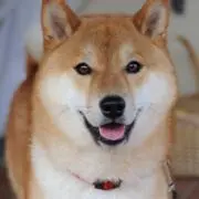 NAOTO