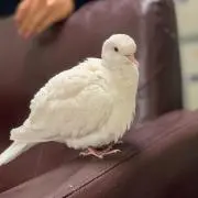 ゆーきゃん