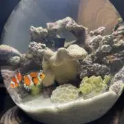 mの画像