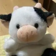 わたるの画像