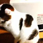 とものしん07♪♪