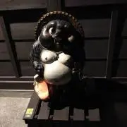 狸