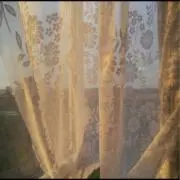 しらたまきなこの画像