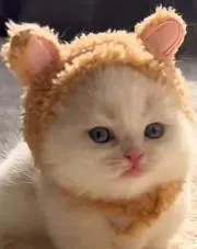 むち♡めろ
