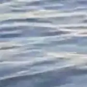 ゆゆゆの画像