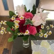 よっこの画像