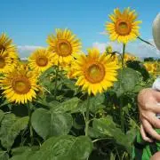 あくあ/開封時動画撮影の画像