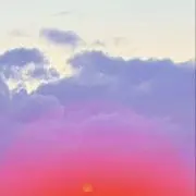 桜の画像