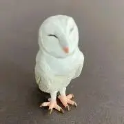 bienvenueの画像