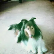 Kazuの画像