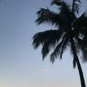エリア
