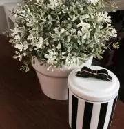 SatoSato♡