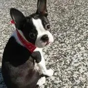 yo