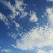 スヌーピーの画像