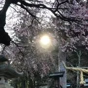びあんこ