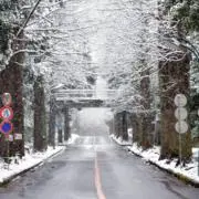 涼宮の画像