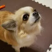 ダイカン☆プロフ読んで下さい☆