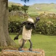 MNnAの画像