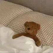 ぽんぬの画像