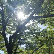 まー
