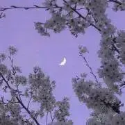 みゆ プロフ必読の画像