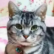 aliitanの画像