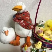 ちーずの画像