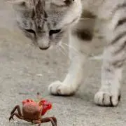 yyの画像