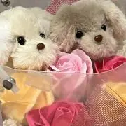 slokorab★子供服セール中！★の画像