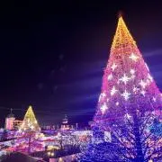 キラキラバーモンド君の画像