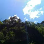 べーこの画像
