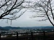 CD/DVDの画像