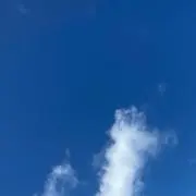 Lの画像