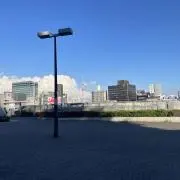 野球ファンの画像