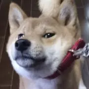 ATSUSHIの画像