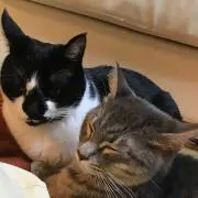 そらとん