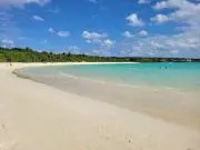 hanaの画像