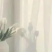 hの画像