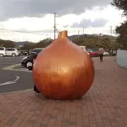 ぐーらむの画像