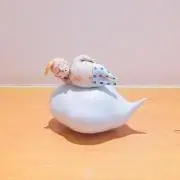 とらちゃんの画像