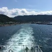 T-Yドラちゃん