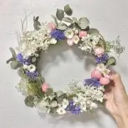 ひよこの画像