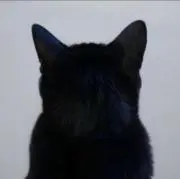 R i R i