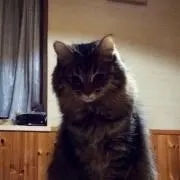 ひで